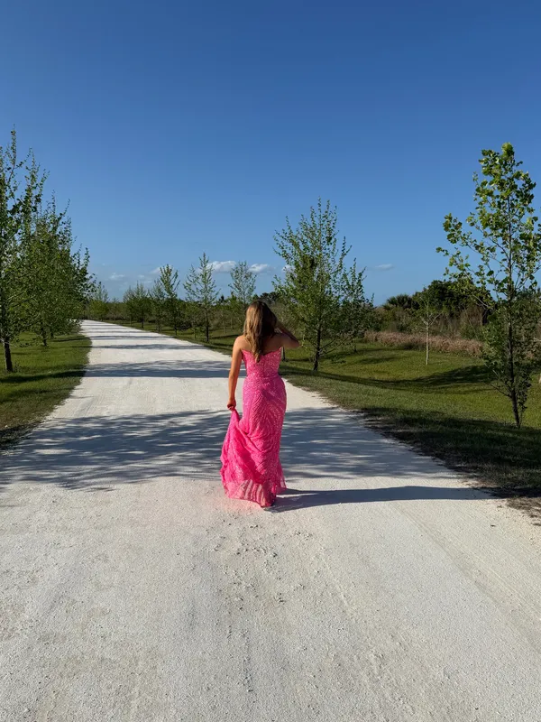 Ashley Lauren Prom Dress Pink 11236 - Image 2