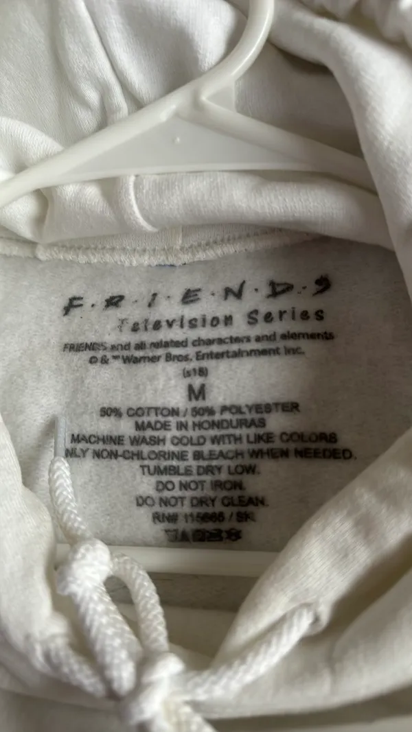 PacSun Friends Hoodie - Image 4