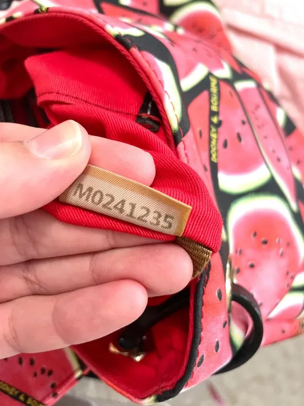 Dooney & Bourke Sandia Flap Watermelon Print Backpack Fruitcore Retro Summer - Image 8