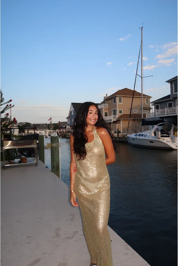 Lovers + Friends Revolve Charlotte Maxi Dress in Gold Sand - Image 4