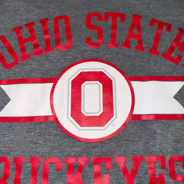 Ohio state tee 108 Gray Size L - Image 2