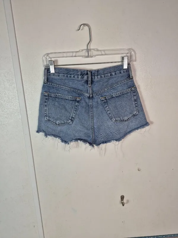 Agolde Parker Jean Shorts Button Fly 24 - Image 5