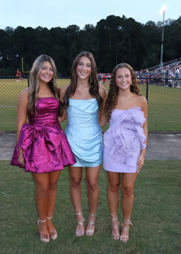 Sherri Hill Dress - Image 2