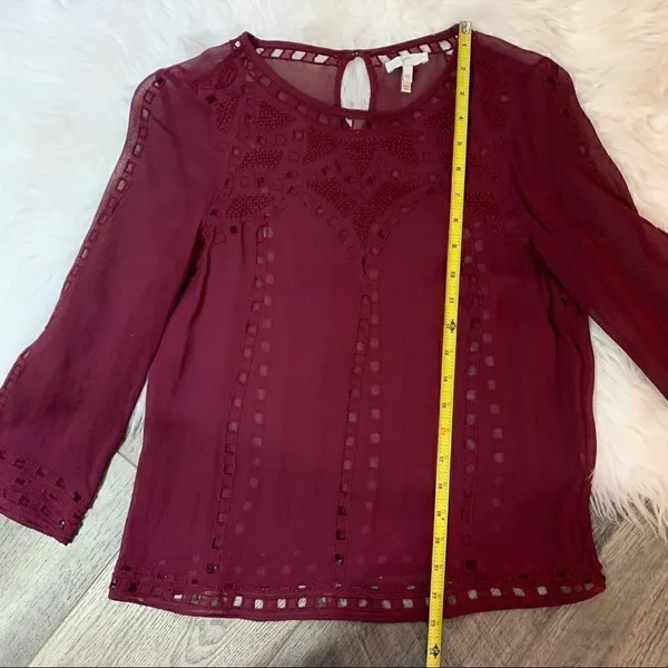 Joie Raisin Gaiane Embroidered Eyelet Blouse - Image 11