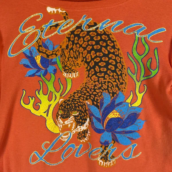 Urban Outfitters Eternal Lovers Tiger Long Sleeve Crop‎ Top Orange Large Y2K - Image 9