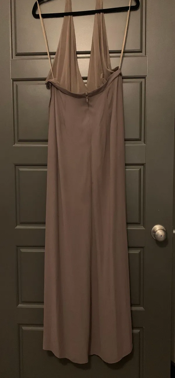 BCBGMAXAZRIA Tan Formal/ Prom Dress - Image 4