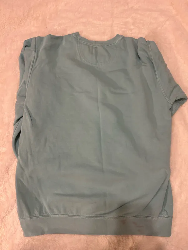 Comfort Colors Teal Georgia Sweatshirt - Image 2