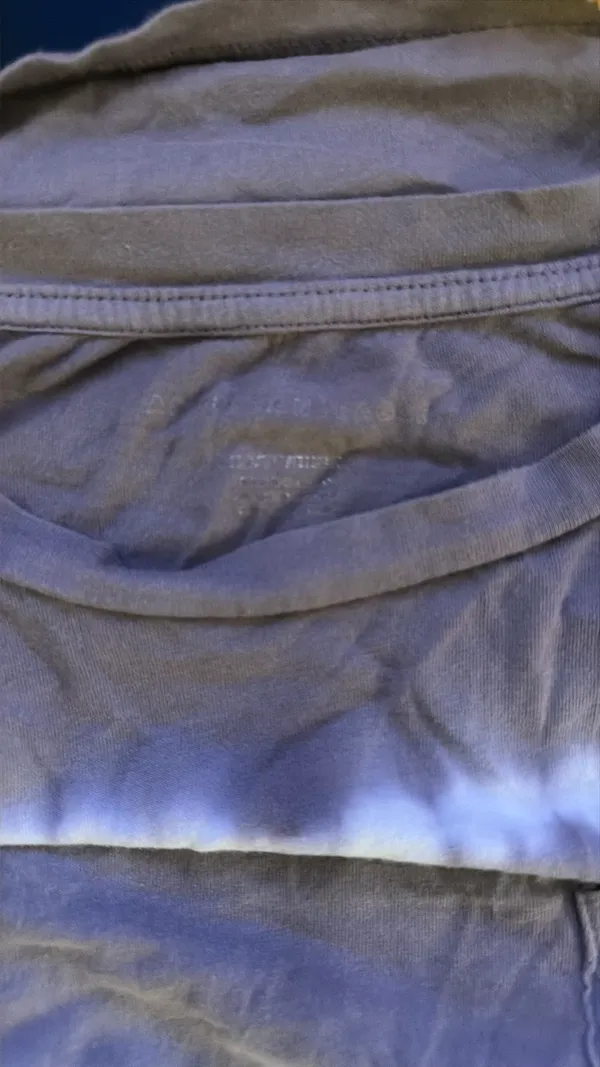 American Eagle Crop Top - Image 3