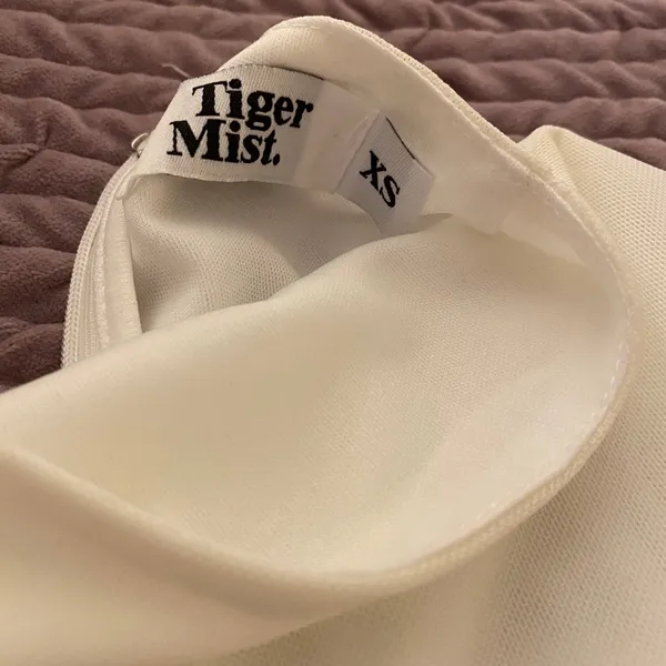 Tiger Mist White Mesh Mini Dress - Image 3
