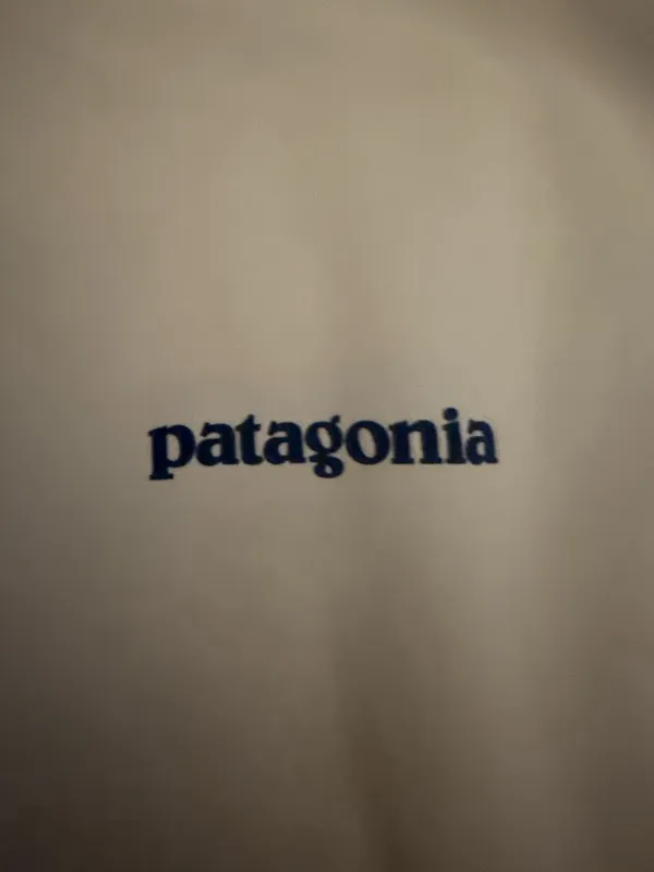 Patagonia Capilene Cool Daily Graphic Shirt Women’s - Image 2