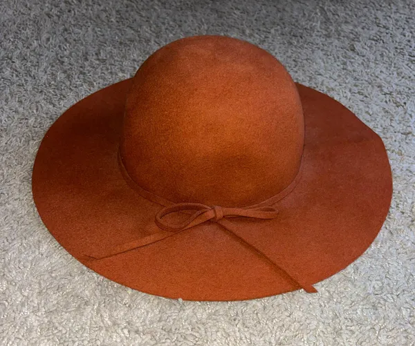 David And Young Wool Floppy Hat with Bow - Image 2
