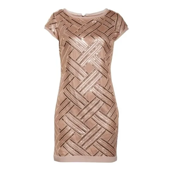 Eliza J Size 6 Rose Gold Sequin Mesh Lattice Sheath Cocktail Mini Dress Cocktail - Image 2