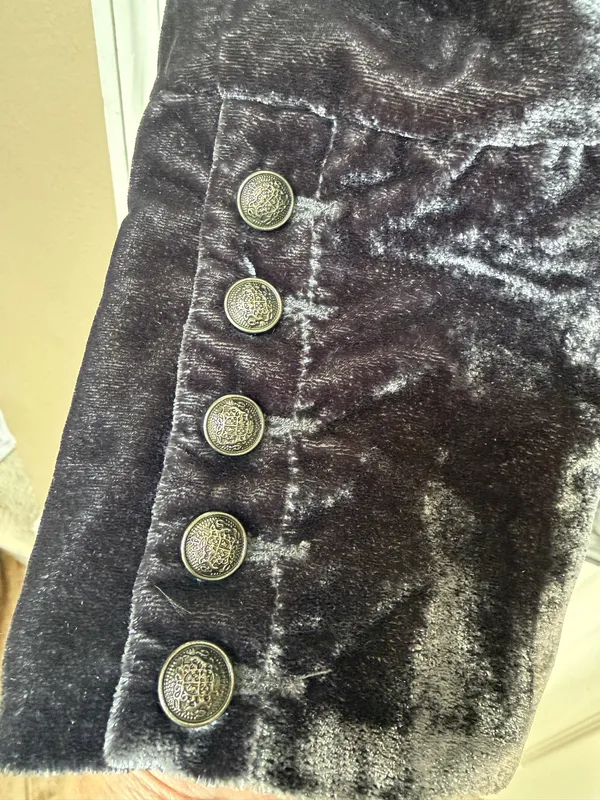 Free People Military Victorian Jacket Goth Dark Gray Velvet Intricate Buttons S - Image 7