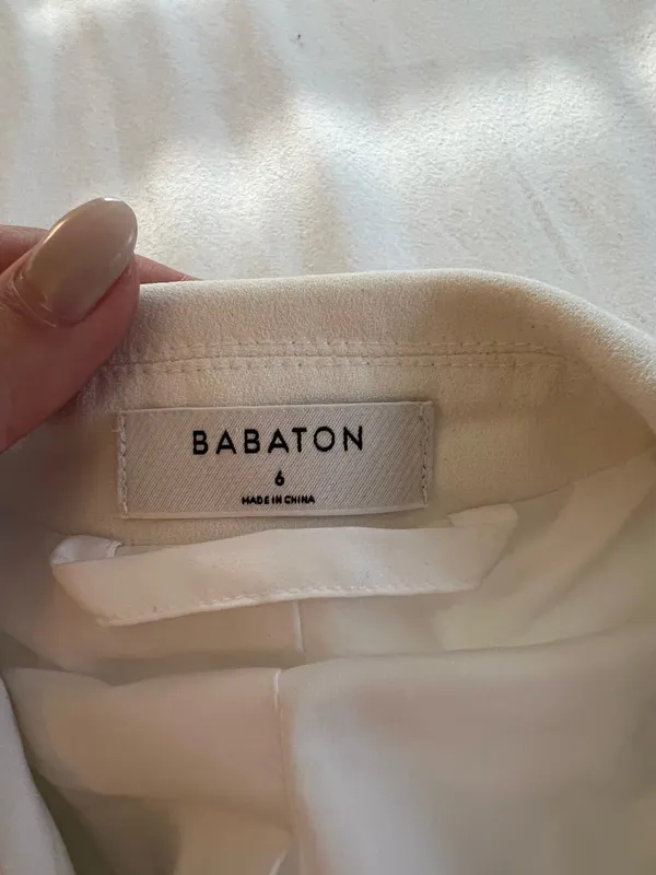 Babaton Aritzia Blazer - Image 4