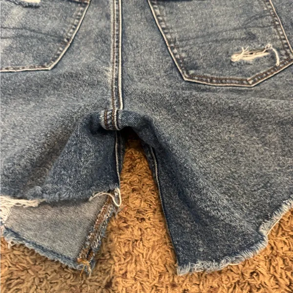 American Eagle Distressed Perfect Short size 14. - Image 5
