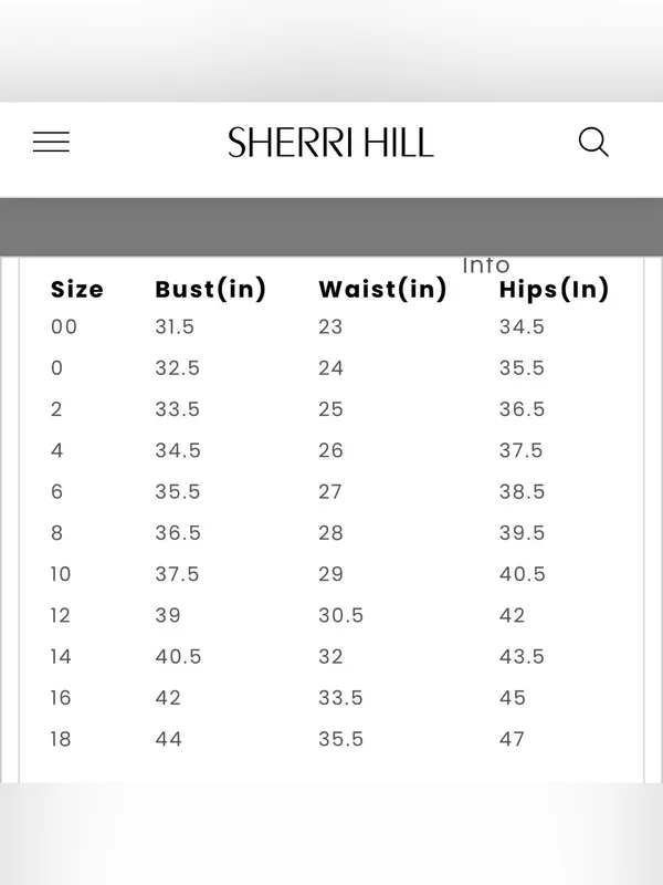 Sherri Hill Black Lace Corset Cocktail Dress - Image 5