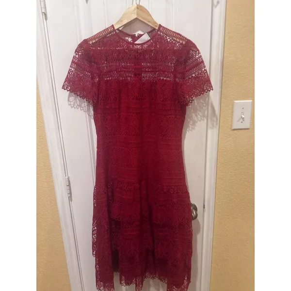 ANTONIO MELANI Red Ochre Lace Overlay Midi Dress, Mermaid-styleHem, Lined, Sz 10 - Image 8