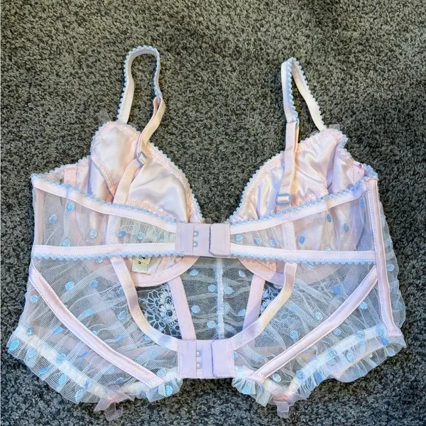 For Love and Lemons Corset - Image 2