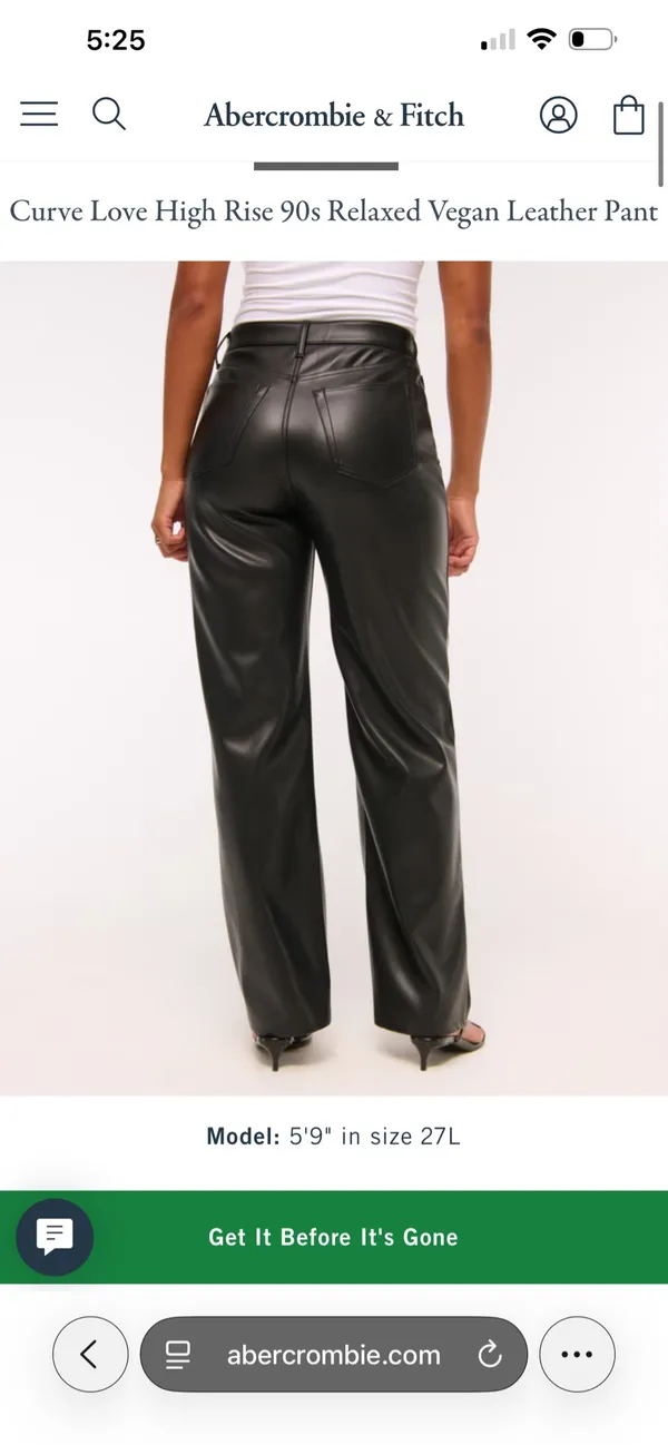 Abercrombie Leather Vegan Pants Curve Love - Image 2
