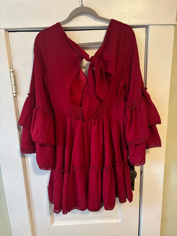 The Clothing Company Ruffle dress - Image 5