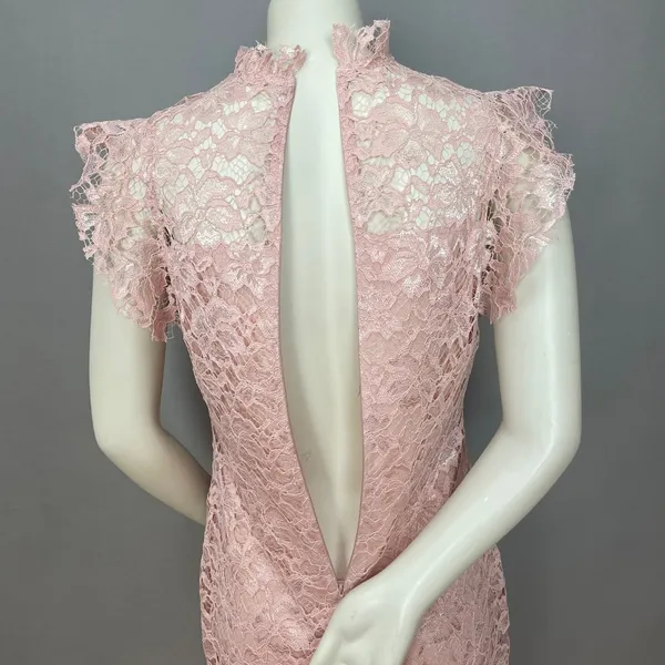 Enfocus Studio Lace Sheath Dress Women 8 Blush Pink Mock Neck Flutter Sleeve‎ - Image 13