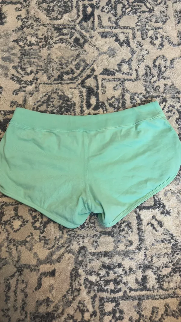 Brandy Melville Shorts - Image 3