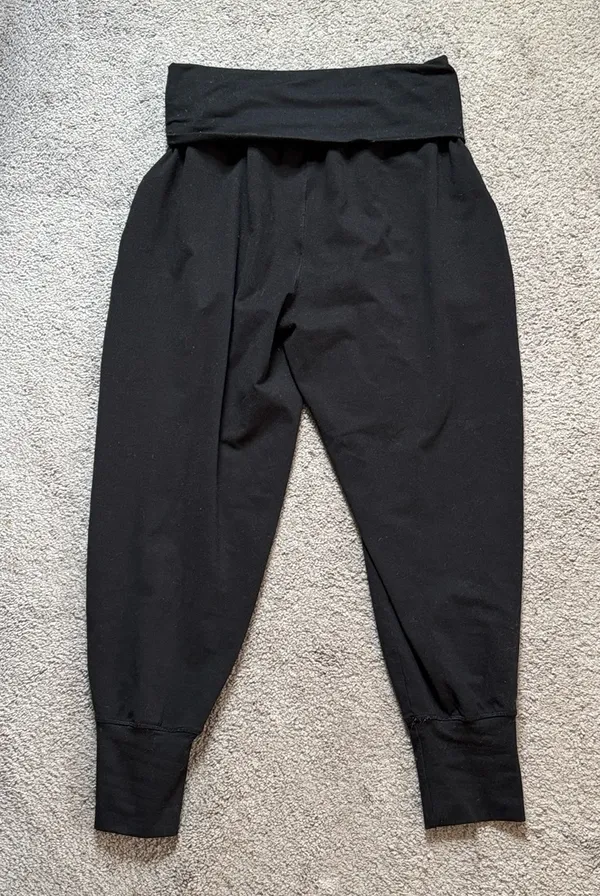 Aerie Offline Joggers  - Image 3