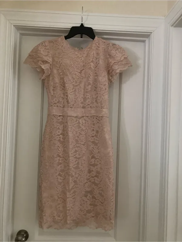 Rachel Parcell Blush Lace Midi Dress with Puff Sleeves - Image 4