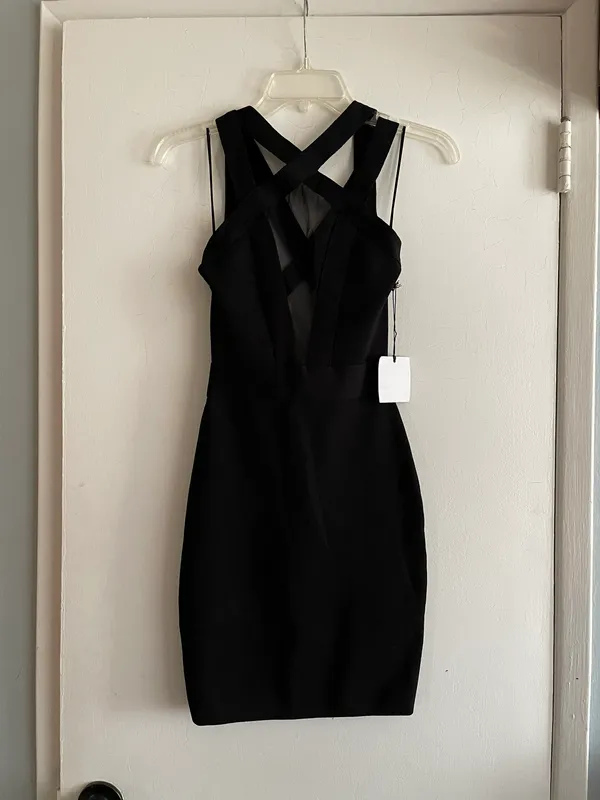 Revolve sheer mesh cut out Backless strappy plunge LBD mini black dress - Image 4