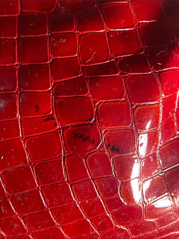Brighton Chere Red Croc-Embossed Shoulder Bag - Image 11