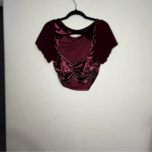 Intimately Free People Midnight Mood Velvet Burgundy Ruched Puff Sleeve Crop Top - Image 10