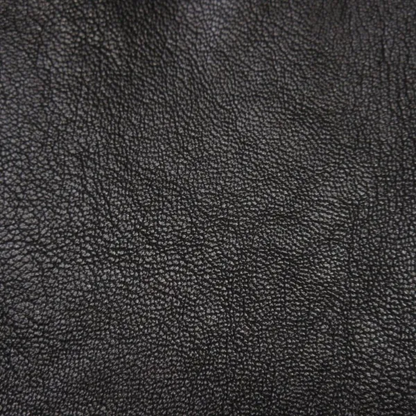 NWT Spanx Leather Like Jogger in Noir Black Faux Vegan Pull-on Pants 2X - Image 7