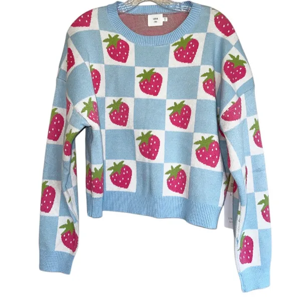 NWT Luna Ivy X Anthropologie Blue Checkered Strawberry Pullover Sweater Farm M - Image 6