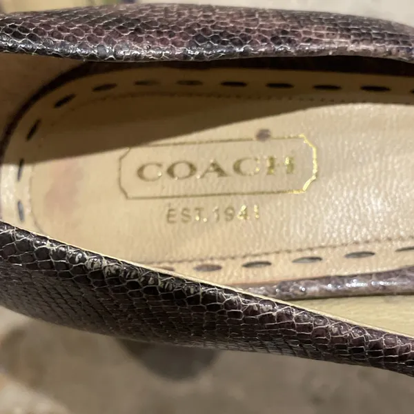 Coach Brown Snakeskin High Heel Stiletto Shoes Womens Size 7B - Image 2