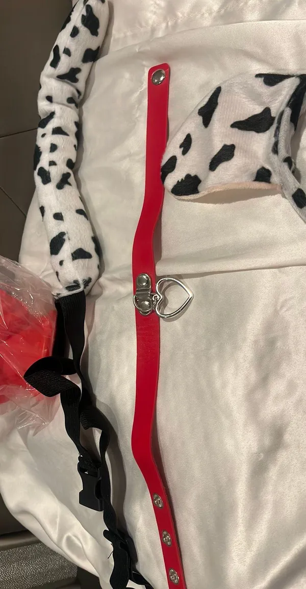 dalmation costume - Image 4