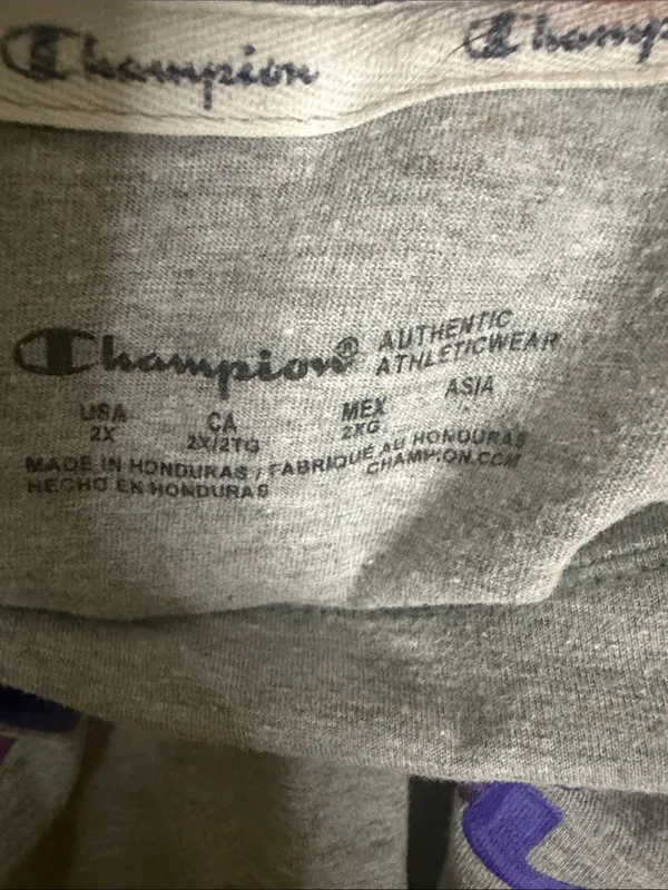 Champion Gray Tee with Pink and Purple Script Logo - Image 2