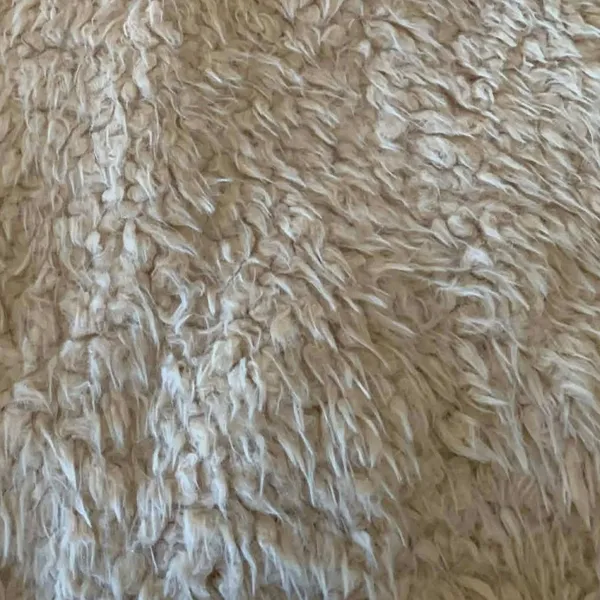 Sadie & Sage Anthropologie Cream Faux Fur Shaggy Coat M So So‎ Soft Quiet Luxury - Image 6