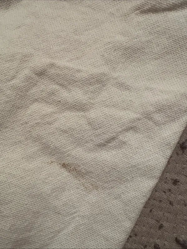 Celine xl dust bag - Image 4