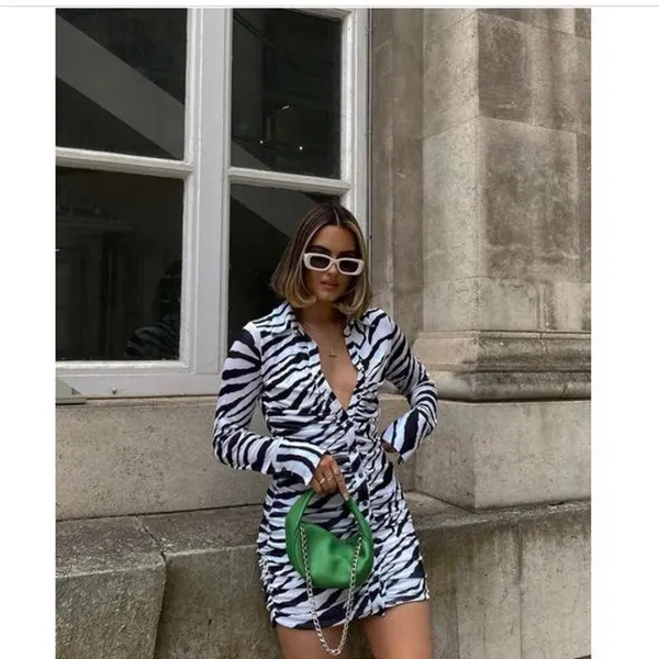 Tigermist Dress - Image 5