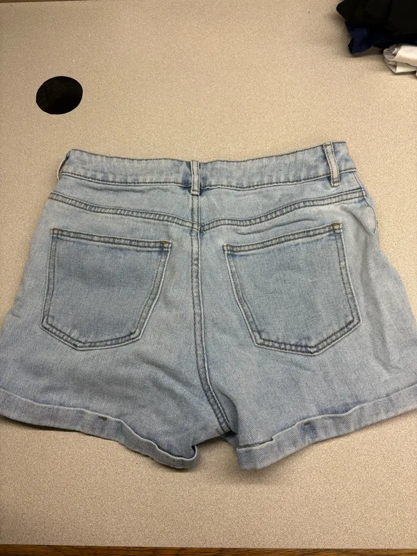 PacSun Mom Shorts - Image 3