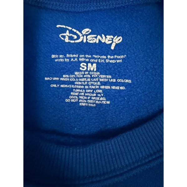 Disney Winnie The Pooh Hundred Acre Wood Colorblock Embroidered Sweatshirt Sz SM - Image 3