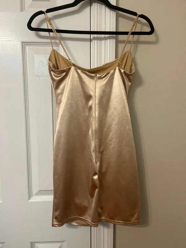 Lucy in the Sky Champagne Body on dress - Image 4