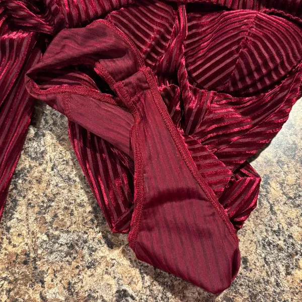 Lulus Bodysuit Velvet Burnout Bustier Whimsigoth Witchy Romantic Burgundy Small - Image 6