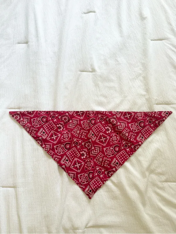 Reversible Bandana Triangle Scarf Accessories Tie Scarf Country Festival Western - Image 2