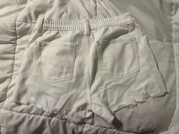 Aerie Shorts - Image 2