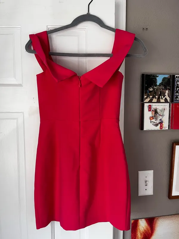 NBD Revolve Dress - Image 4