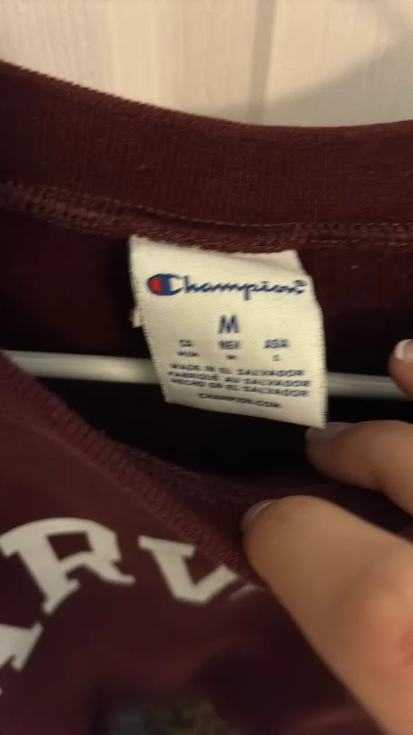 Harvard Champion Sweatshirt University - Image 3