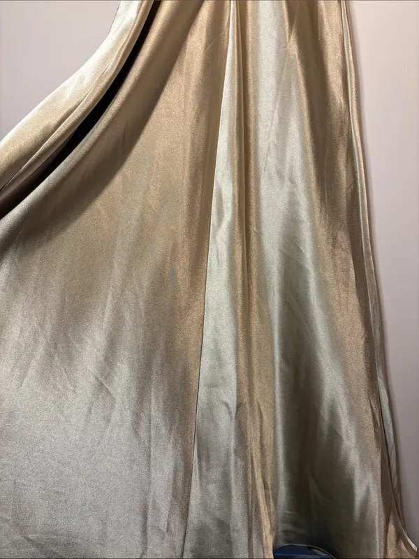 Birdy Grey NWT Lisa Long Shiny Satin Dress Neutral Champagne Size M - Image 10