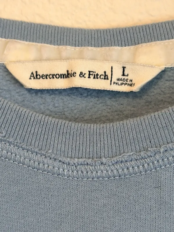 Abercrombie & Fitch signature velour initials Sweatshirt, periwinkle blue, sz L - Image 2