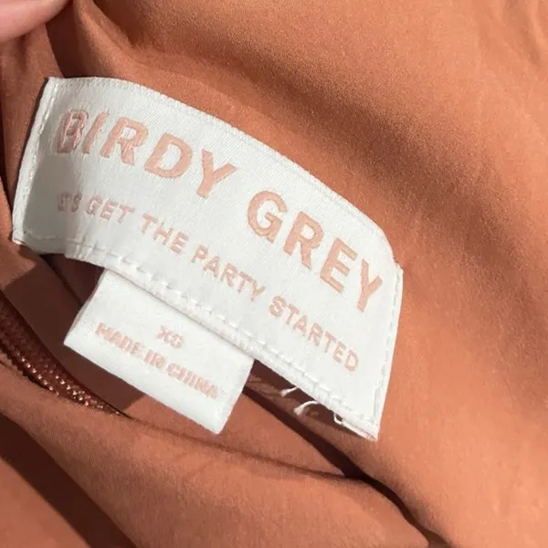 Birdy Gray Catherine Matte Satin Rust Dress SZ XS Bridesmaid Winter Formal Gown - Image 3